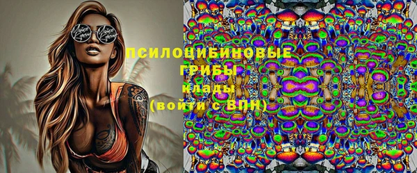 2c-b Надым
