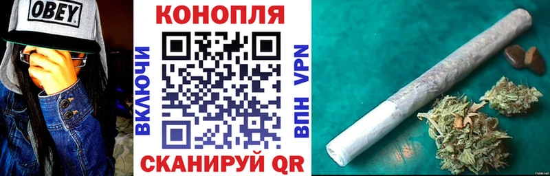где продают наркотики  кракен как войти  Шишки марихуана SATIVA & INDICA  Отрадное 